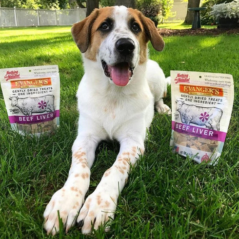Evanger's Nothing But Natural Gently Dried Beef Liver Treats for Dogs - Healthy Snack
