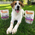 Evanger's Nothing But Natural Gently Dried Beef Liver Treats for Dogs - Healthy Snack