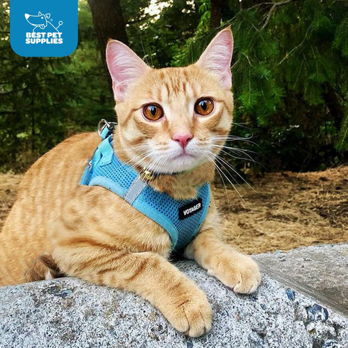 Best Pet Supplies No Pull Harness for Small, Medium Dogs, Cats - All Weather Mesh, Reflective, Baby Blue, XS