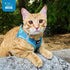 Best Pet Supplies No Pull Harness for Small, Medium Dogs, Cats - All Weather Mesh, Reflective, Baby Blue, XS
