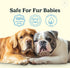 Jasper Dog Toothbrush, 360º Dog Tooth Brushing Kit, Clear 2-Pack for Dog and Cat Teeth Cleaning