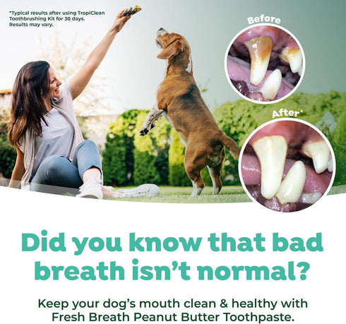 2oz TropiClean Fresh Breath - Dog Toothpaste - Dog Teeth Cleaning Peanut Butter & Honey Flavor - Freshens Breath