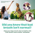 2oz TropiClean Fresh Breath - Dog Toothpaste - Dog Teeth Cleaning Peanut Butter & Honey Flavor - Freshens Breath