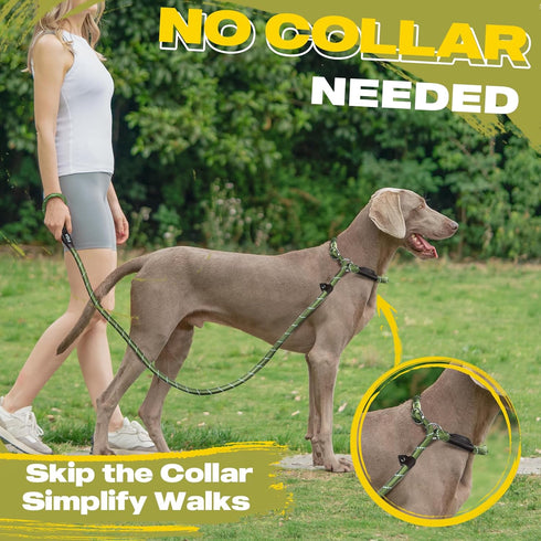 Fida Durable Slip Lead, 6 FT x 1/2" Heavy Duty Loop Leash, Comfortable Strong Rope for Large Medium Dogs, Green