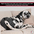 FINNERO Brenda Reusable Dog Diaper, Leak-Proof, Adjustable, Heat & Incontinence Protection, XL Camo