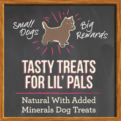 Merrick Lil’ Plates Grain Free Small Dog Treats, Natural Salmon Recipe, 5 oz Pouch