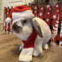 NAMSAN Cat Santa Hat Scarf, Small Dog Christmas Costume with Red Muffler for Kitten, Doggy, Rabbit Decoration