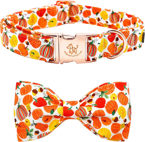 Elegant Little Tail Dog Collar with Bow - Fall Halloween Pumpkin Bow for X-Small Puppies