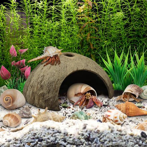 Hermit Crab Sea Shells Natural Coconut Shell Hut, Artificial Plants for Hermit Crab Tank Hide Reptile Supplies - 22 PCS
