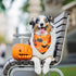 2 Pack Halloween Dog Bandana, Holiday Cat Pumpkin Candy Corn Bandana Bibs Scarf Accessories for Small Mediun Large Dogs
