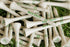 Premium TEE Packs - 18 Tees per Pack | Designer Golf Accessories