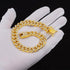 Gold Dog Chain Diamond Collar, Walking Metal Chain with Secure Buckle, Jewelry Accessories for Small Medium Large Dogs