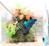 2 Pieces Fish Tank Net, Long Handle Mesh Aquarium Nets, Extendable 12.5-27.5 Inch Stainless Steel