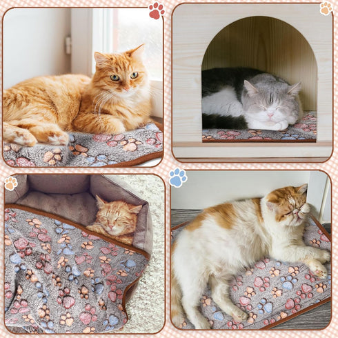 8 Pcs Fleece Dog Blankets, Puppy Blankets for Small Dogs Cats, Soft Coral Velvet Warm Sleep Mat, Dark Gray, 24 x 16 Inch