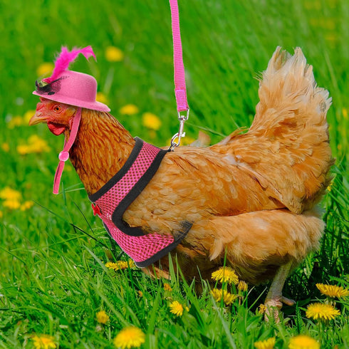 9 Pcs Chicken Harness with Leash and Hats Set, Funny Accessories for Hens, Duck, Goose, Parrot, Adjustable Training