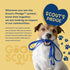 Good Scout Padded Handle Dog Leash - Durable Walking & Training Leash for Puppies & Adult Dogs, Blue/Sky