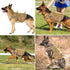 Forestpaw Tactical Dog Harness for Small Sized Dogs, No Pull Military Vest with Handle and Pockets (Brown, S)