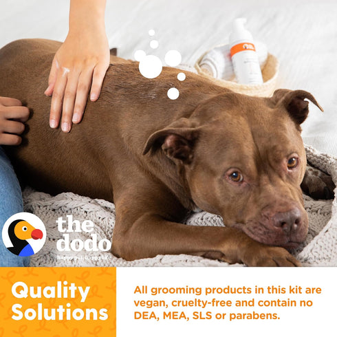 The Dodo All-in-One Dog Grooming Kit, Includes No Rinse Bath Foam, Wipes, and Wet/Dry Brush, Vegan & Cruelty-Free