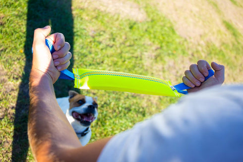 Dog Bite Tug Toy with 2 Strong Handles, Durable Fire Hose Tug for Medium to Large Dogs, Ideal for Interactive Play
