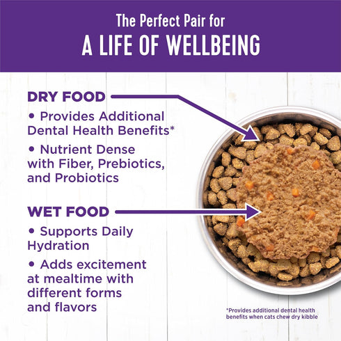 Wellness Complete Health Grain-Free Wet Canned Senior Cat Food, Tuna & Salmon, 3-Ounce Can (Pack of 24)