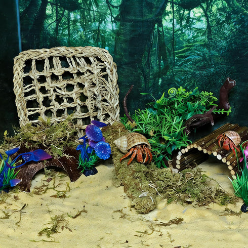 Hammock,Reptile Hermit Crab Accessories, Hermit Crab Climbing Toys,Flexible Moss Pole with Coconut Shell Hideout Hut