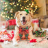 Malier Christmas Classic Plaid Dog Collar with Bow Tie, Soft Durable Holiday Collar for Small Medium Large Dogs (Red &