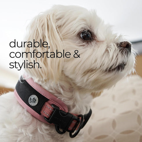 Airtag Dog Collar - Premium Adjustable Holder, Heavy Duty Reflective No Chafing Air Mesh Padded Quick Release