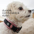 Airtag Dog Collar - Premium Adjustable Holder, Heavy Duty Reflective No Chafing Air Mesh Padded Quick Release