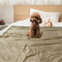 PetAmi Waterproof Dog Blanket for Small Medium Dogs, Sherpa Fleece Couch Cover Protection, Reversible Soft Washable