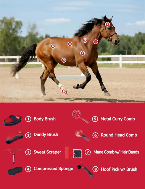 Furrishine 9 Set Horse Grooming Kit, Piece Grooming Brush with Silicone Curry Comb for Bathing & Shedding Shadowberry