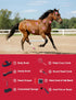 Furrishine 9 Set Horse Grooming Kit, Piece Grooming Brush with Silicone Curry Comb for Bathing & Shedding Shadowberry