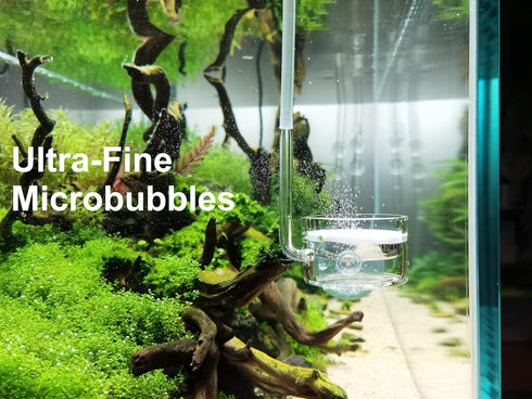 Pollen Glass CO2 Diffuser with U-Shape Connecting Tube for Aquarium Planted Tank, 2" for 50-80 US Gallons