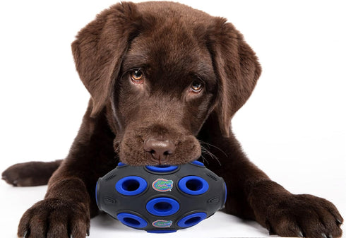 Pets First NCAA Florida Gators Football Treat Dispensing Toy for Dogs and Cats, Interactive Rubber Ball