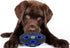 Pets First NCAA Florida Gators Football Treat Dispensing Toy for Dogs and Cats, Interactive Rubber Ball