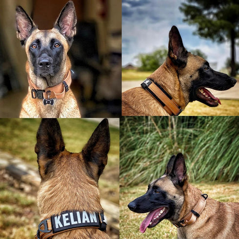 2-Inch Wide Tactical Dog Collar, Adjustable Military Style with Control Handle, Heavy-Duty Metal Buckle, USA Flag Patch