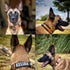 2-Inch Wide Tactical Dog Collar, Adjustable Military Style with Control Handle, Heavy-Duty Metal Buckle, USA Flag Patch