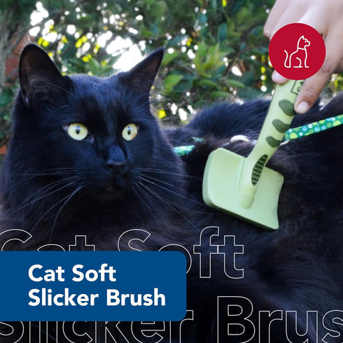 Coastal Pet Safari Cat Soft Slicker Brush, 6.5 x 3.5 Inches