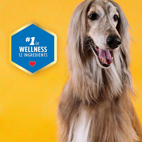 Dental Treats for Large Dogs, Old Version, 24oz, 18 Count