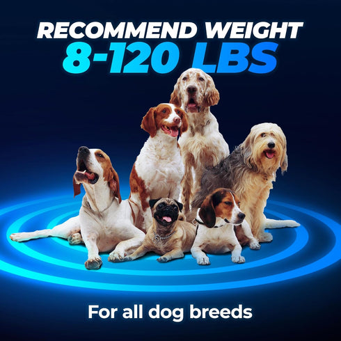 2024 Automatic Bark Collar with 5 Adjustable Sensitivity Levels - Rechargeable Waterproof for Large Medium Dogs
