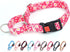 Martingale Collar for Dogs, Rose Daisy Flowers Dog Collar for Small Medium Large Dogs, Adjustable with Quick-Release