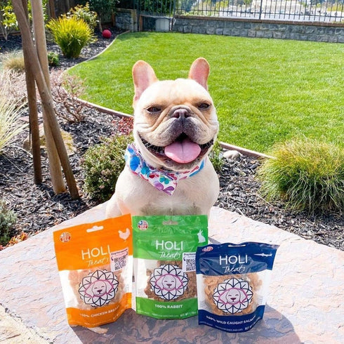 HOLI Freeze Dried Rabbit Treats for Dogs, All Natural Healthy Treats, 100% Made in USA, 1.75 oz