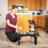 Pet Zone Designer Diner Elevated Dog Bowls - 3 Height Adjustable Stand with 2 Stainless Steel Bowls (7 Cup Each)