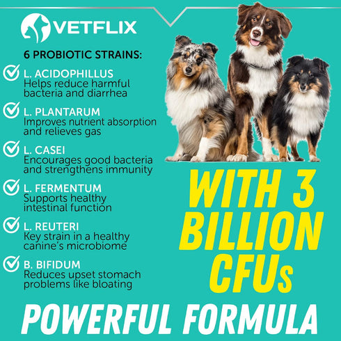 Premium Probiotics for Dogs, Cats - Digestive Enzymes & Prebiotics Supplement, 2 Fl Oz for Digestive Health