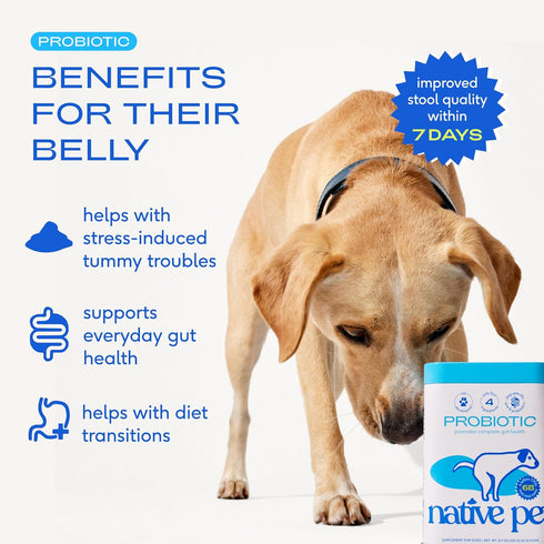 6B 60 Native Pet Probiotics for Dogs Dog Probiotic Powder for Gut & Digestive Health, Vet-Formulated CFUs Dog-Specific