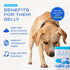 6B 60 Native Pet Probiotics for Dogs Dog Probiotic Powder for Gut & Digestive Health, Vet-Formulated CFUs Dog-Specific