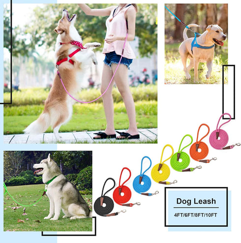 MayPaw Dog Leash, 4 FT/6 FT/8 FT/10 FT Classic Solid Colors, Strong Nylon Rope with Heavy Duty Silver Clasp, Red