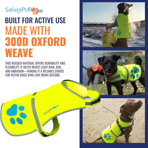 Dog Reflective Vest – Hi-Vis Fluorescent Visibility for Your Pet On/Off Leash in Urban & Rural Areas (Yellow, X-Large)