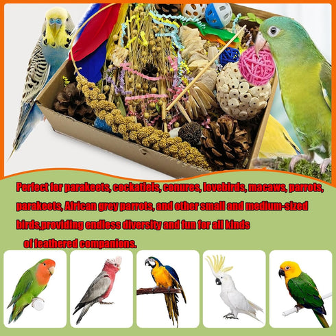 SUAIOLOAQ Natural Bird Foraging Toys, Interactive Chew Toys, Perfect for Parakeets, Cockatiels, Conures, Sun Conures