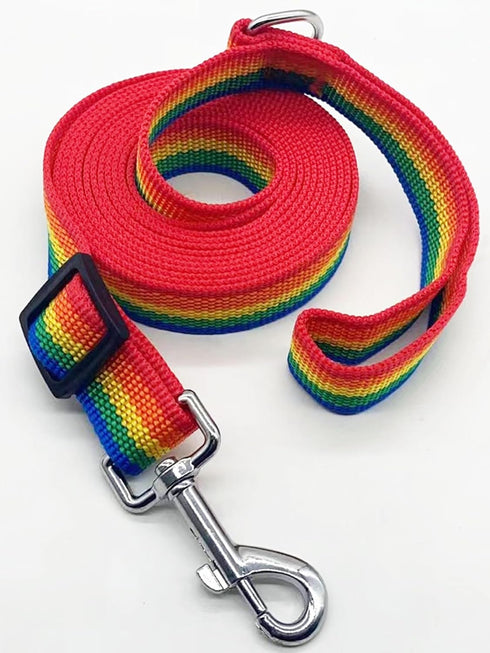 Adjustable Nylon Dog Leash, 6FT/10FT Long Leashes for Small Medium Large Dogs (1 in x 10 ft, Rainbow)