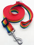Adjustable Nylon Dog Leash, 6FT/10FT Long Leashes for Small Medium Large Dogs (1 in x 10 ft, Rainbow)